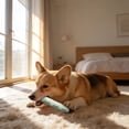 thumbnail image 3 of Goowood Teething Toys for Puppies and Dog Chew Toys with Brush for Teeth Cleaning Interactive Treat Dispensing Compatible with Most Chews for Puppies, 3 of 5
