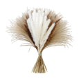 thumbnail image 3 of yuksok Natural Pampas Grass Bouquet Reed for Desk Photographing Flower Arrangements C, 3 of 9