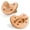 Cantaloupe, variant on Chicco PhysioForma® Luxe One-Piece Silicone Pacifier, 6-16 Months, 2pk - Cantaloupe, New