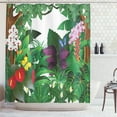 thumbnail image 1 of Nature Shower Curtain, Jungle Themed Cartoon Design with Blooming Flowers and Butterflies Tropical Pattern, Fabric Bathroom Set with Hooks, 69W X 84L Inches Extra Long, Multicolor, by Ambesonne, 1 of 3
