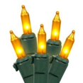 thumbnail image 1 of Vickerman Vickerman 50 Gold Dura-Lit Light on Green Wire 23' Christmas Light Strand, 1 of 1