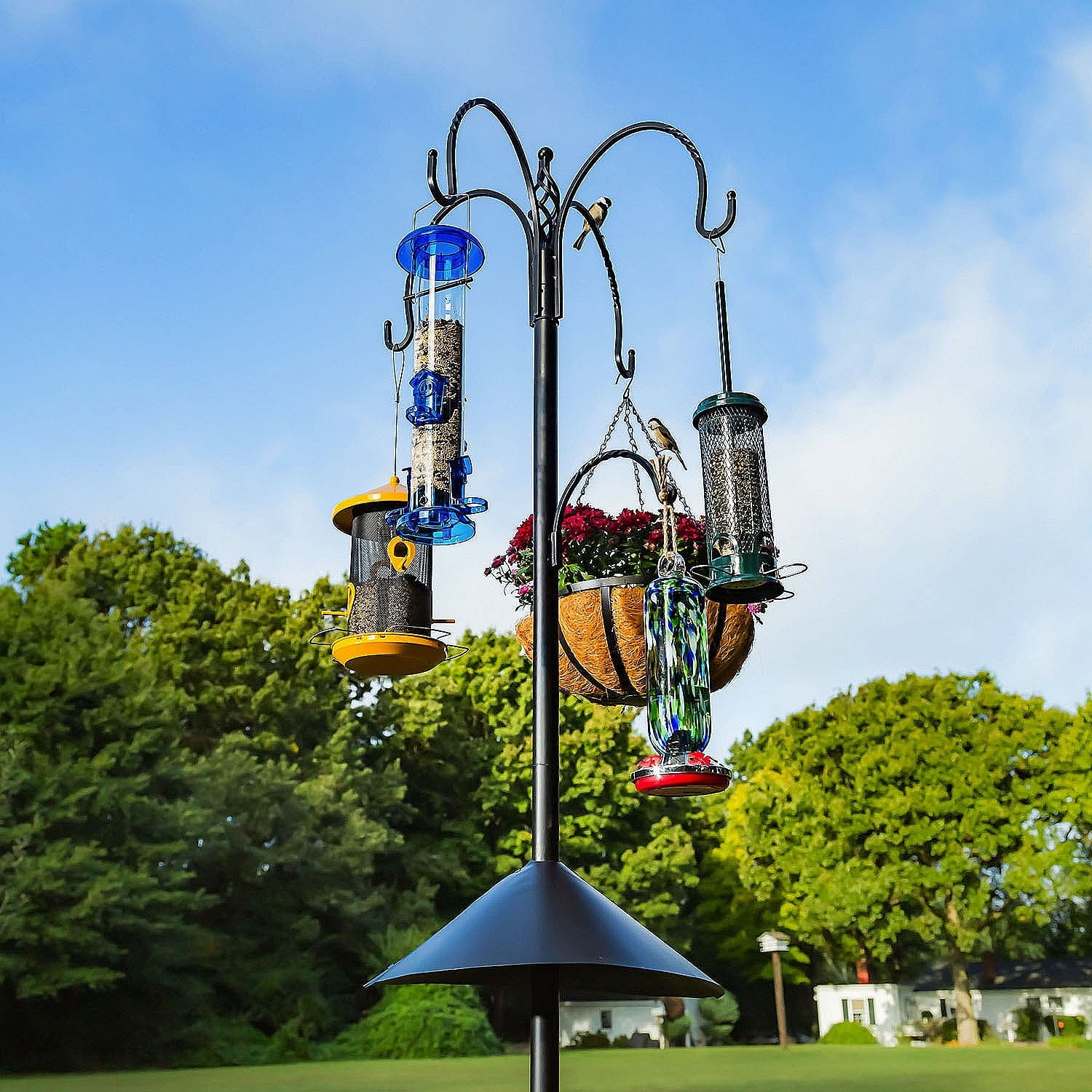 Evergreen 92" Premier Wild Bird Feeding Station