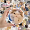 thumbnail image 5 of 100 pegatinas lindas de animales de gato - Vinilo impermeable personalizado Kawaii Aestheti, 5 of 5