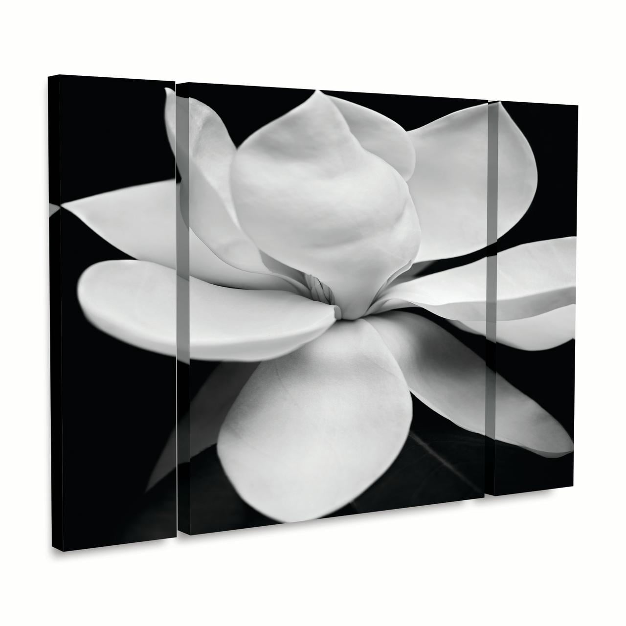 Michael Harrison 'Magnolia' Multi Panel Art Set Large 3 Piece