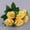B, variant on Pgyong Artificial Flower Stems for Home Decor, Wedding Centerpieces & Table Runners - Lifelike Faux Flower Branches for Vase Fillers, Event & Party Decorations
