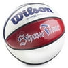 Wilson Showtime Underglass Basketball