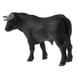 thumbnail image 4 of de Modelo Realistas, Juegos Educativos Naturaleza, Cumpleaños Real para ... - Toro Yotijar Juguete de la figura animal, 4 of 6