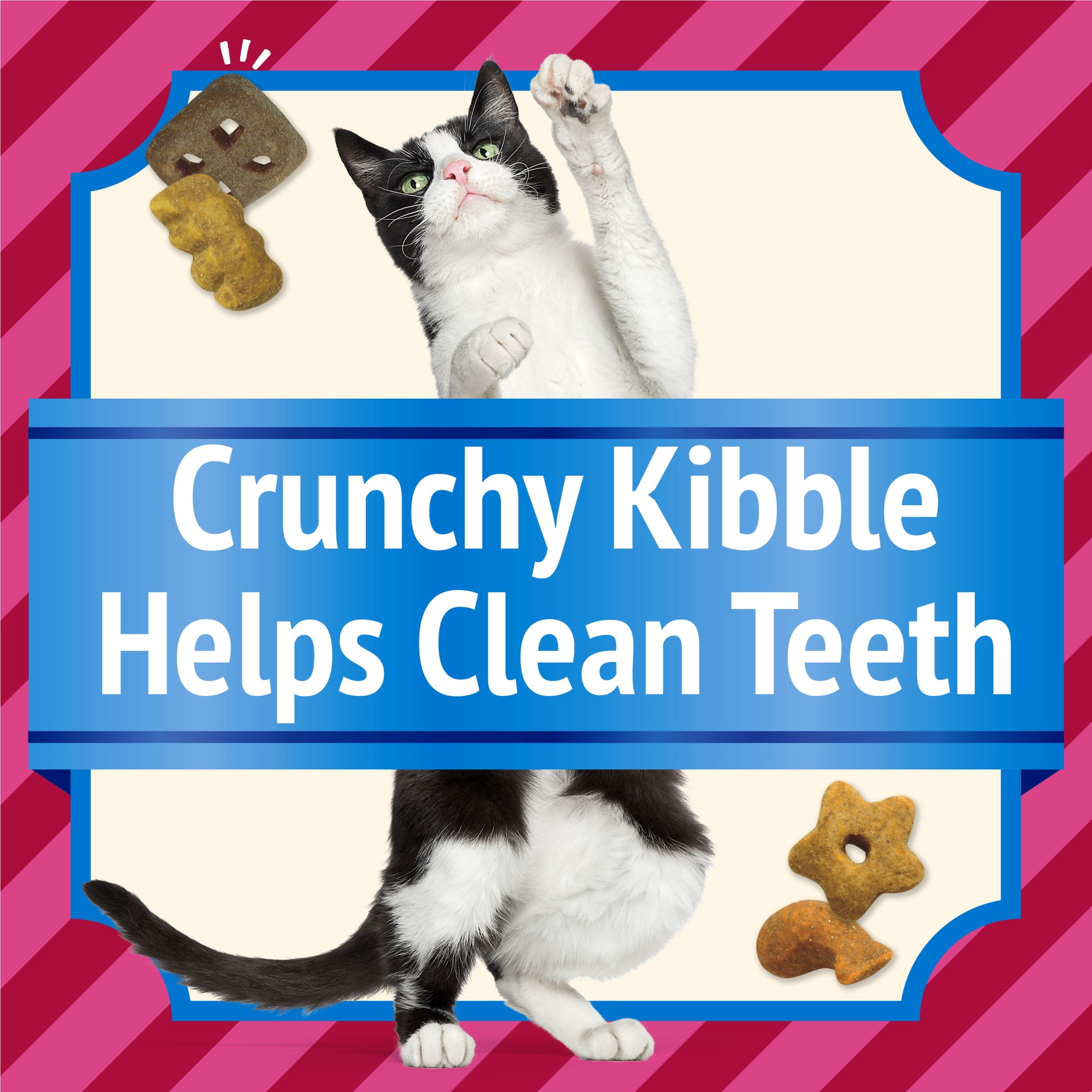 (4 pack) Purina Friskies Cat Treats, Party Mix Beachside Crunch, 30 oz, 2 Pack