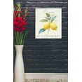 thumbnail image 2 of Epic Graffiti 'Floursack Lemon III' by Danhui Nai, Canvas Wall Art, 20"x24", 2 of 2