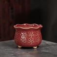thumbnail image 3 of The five flower pots vary in height, thickness, and shape, suitable for planting all kinds of succulents including old trunks, clusters, and single plants., 3 of 6