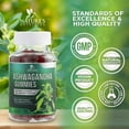 thumbnail image 5 of Ashwagandha Gummies - Advanced Ashwagandha Gummy Formula for Daily Use - Natural Antioxidant Support & Brain Health Support - Natural Calm, Relaxation, & Immune Support - Berry Flavor - 60 Gummies, 5 of 10