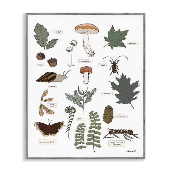 Stupell Industries Scandinavian Woodland Nature Studies Gray Framed Giclee Art, 24 x 30, by Sweet Melody Designs