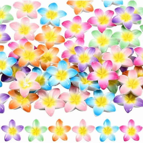 1 Box 48Pcs 6 Colors Plumeria Flowers Charms Flower Resin Cabochons Bulk Hawaii Opaque Summer Cute Colorful Floral Cabochons for Jewelry Making Scrapbooking Embellishments DIY Craft Women