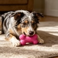 thumbnail image 4 of FTsdfkl 3.5Inch Soft Small Rubber Bone Pet Dog Puppy Cat Toys,Interactive For Cats Play Tug Chew Exercise, Colorful Dot Toy for Puppy Games, 4 of 6