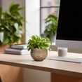 thumbnail image 7 of Ordivic 4 inch Brown Ceramic Planter with Drainage Hole & Plug, Small Desktop Plant Pot for Mini Pothos, Baby Aloe,Jade Plant ,Bedroom Dorm Office Indoor Decor, 7 of 7