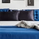 thumbnail image 2 of Funda de almohada de satén para cabello y piel, paquete de 2 - Fundas de almohada de tamaño estándar - Fundas de almohada de satén con cierre de sobre, 2 of 6