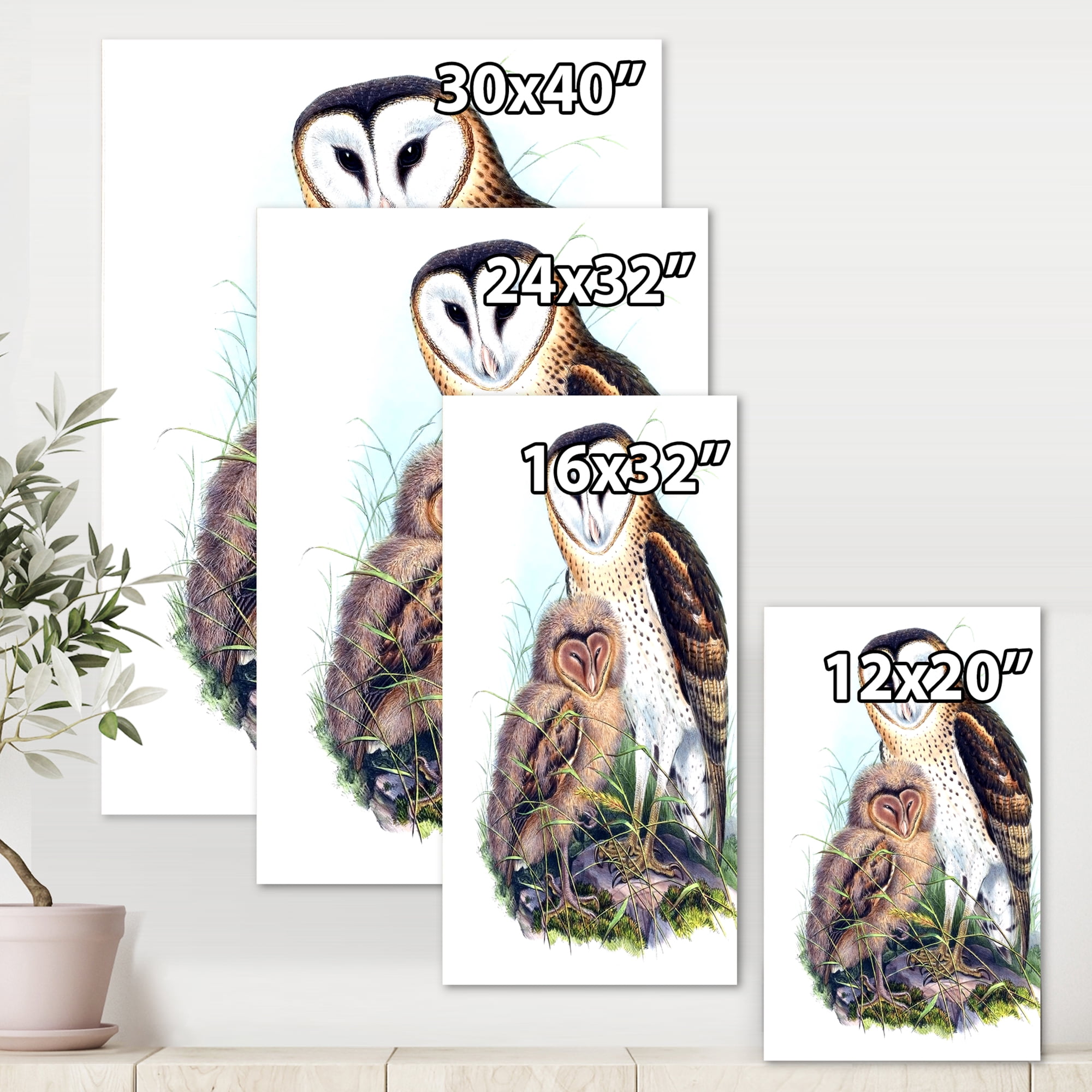 Designart ' Ancient Birds I ' Traditional Canvas Wall Art Print