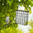 thumbnail image 4 of THHEIC Square Metal Wire Suet Bird Feeder Cage, Durable Outdoor Hanging Feeder for Woodpeckers, Rust Proof Garden Bird Cage with Easy Clean Design and Suet Holder, Bird Feeder, 4 of 9