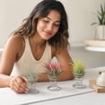 thumbnail image 7 of Minimalist Metal Air Greenery Stands Set of 3, Spring Base Soilless Botanical Holders for Office Desk, Workspace, Home Living Room, Shelf & Tabletop Decorative Display for Modern Interiors, 7 of 7