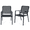Black, variant on DELMANGO Patio Chairs Set of 2 with Metal Frame, Outdoor Dining Chairs for All-Weather, Porch, Garden, Black