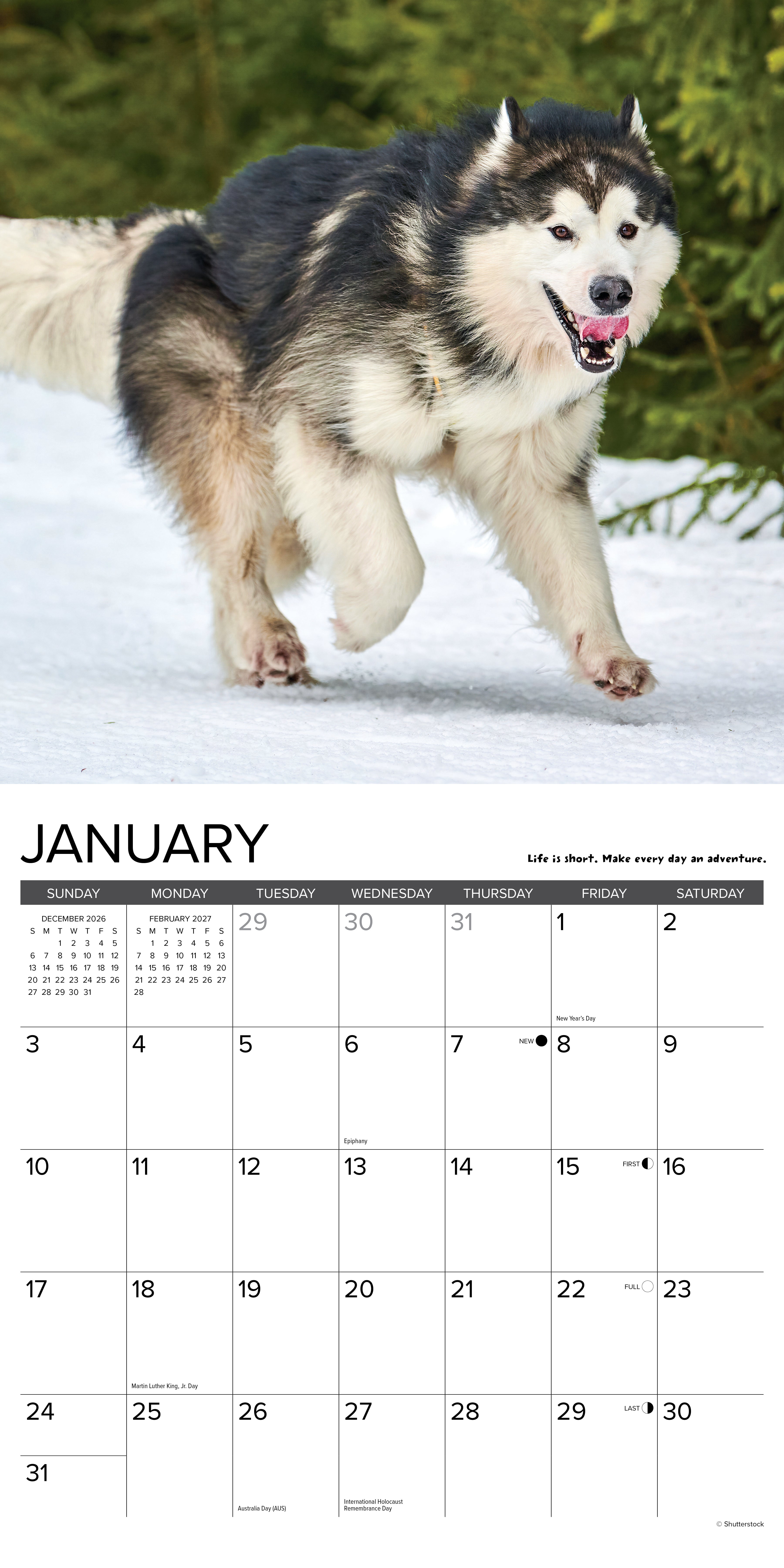 Willow Creek Press, What Dogs Teach Us 2027 Wall Calendar