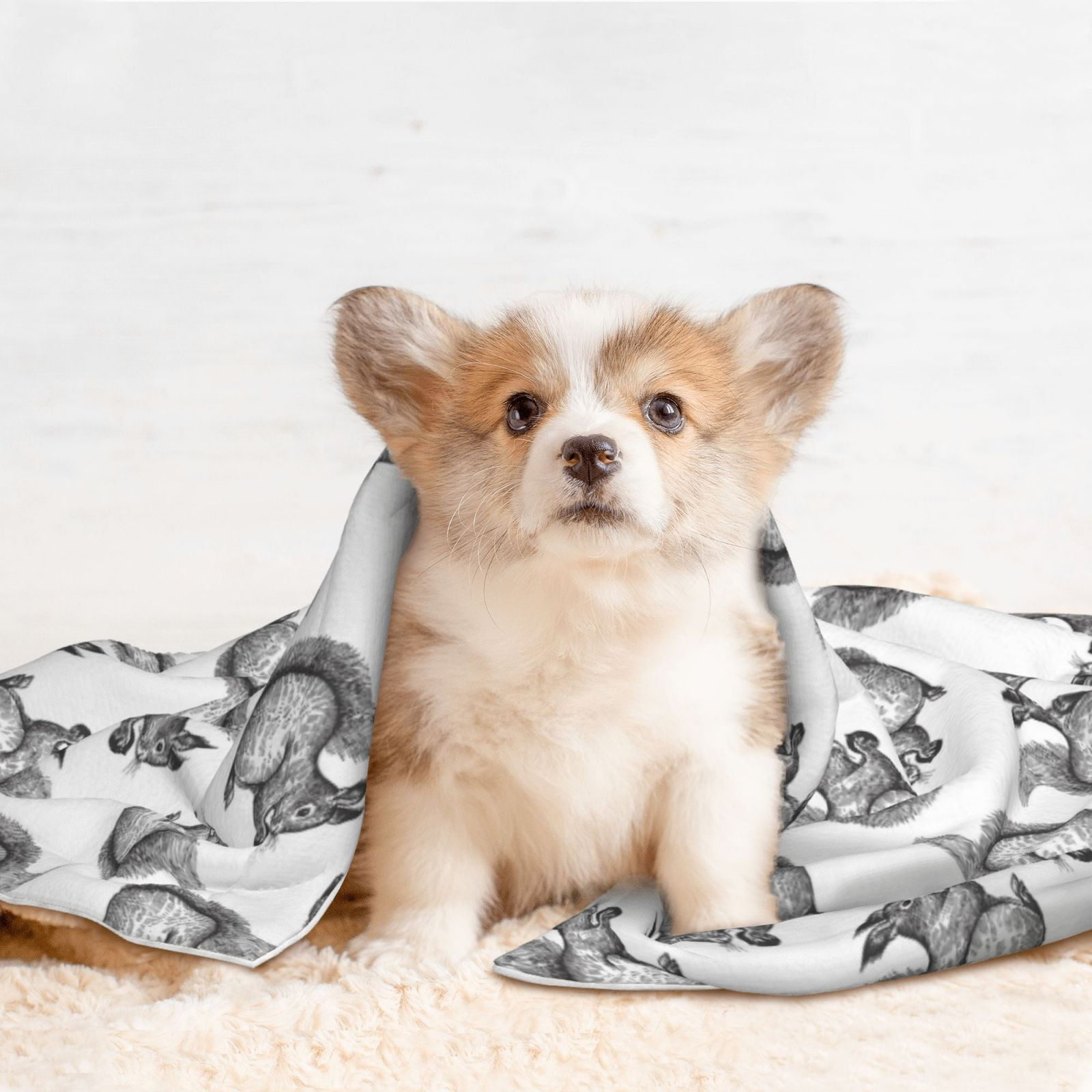Naloa Black Squirrel Dog Blanket, 3 Sizes Cat Blanket for Indoor Cats Large Medium Small Dog Gifts-Small