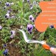thumbnail image 5 of Manual Weeder Root Puller Weeding Tool Tool with Rubber Grip, 5 of 5