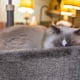 thumbnail image 4 of Heart Shaped Pet Bed With Soft Fabric Non Slip Bottom And Comfortable Filling Suitable For Cats And Small Dogs Provides Cozy Resting Sences, 4 of 6