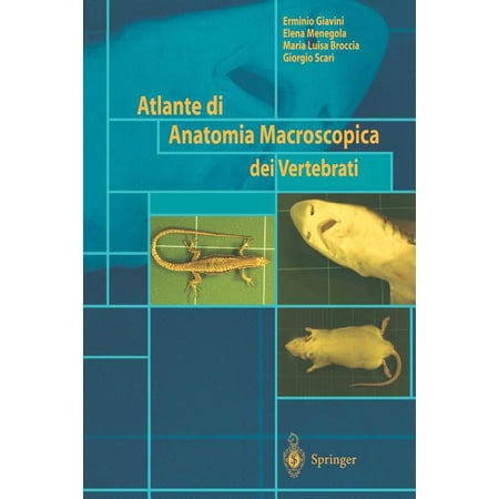 ISBN 9788847001138