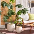 thumbnail image 2 of SAFAVIEH Jasper Assorted Cylinder Beige Ficonstone Solid Plant Pot 2 Count, 2 of 7