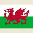 thumbnail image 3 of CafePress - Welsh Flag Of Wales T Shirt - Men's Classic Graphic T-Shirt, 3 of 4