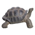 thumbnail image 4 of Pacific Giftware PT Realistic Look Statue Wildlife Walking Tortoise Decorative Resin Figurine, 4 of 4