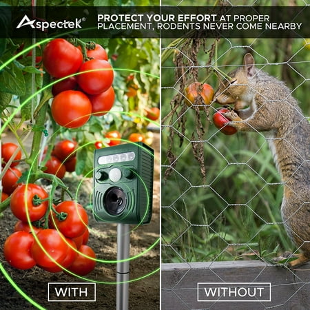 - Ultrasonic Oudoor Pest and Animal Repeller, Pest and Animal Control Rodent