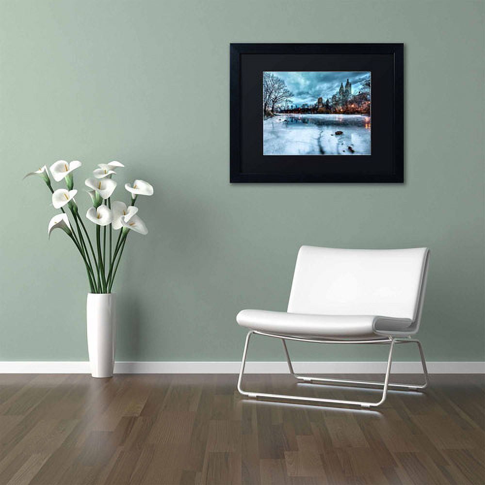 Trademark Fine Art "Frozen Central Park Lake II" Canvas Art by David Ayash, Black Matte, Black Frame