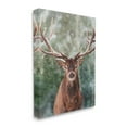 thumbnail image 4 of Stupell Industries Woodland Forest Deer Animals & Insects Painting Gallery Wrapped Canvas Art Print Wall Art, 24 x 30, 4 of 8