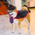 thumbnail image 4 of Pet Halloween costume Pet dog cape and hat, 4 of 5