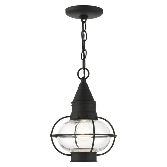 26910-04 Livex Lighting Newburyport - 1 Light Outdoor Pendant Lantern in Bohemian Style - 8.75 Inches wide by 11.75 Inches high-Black Finish