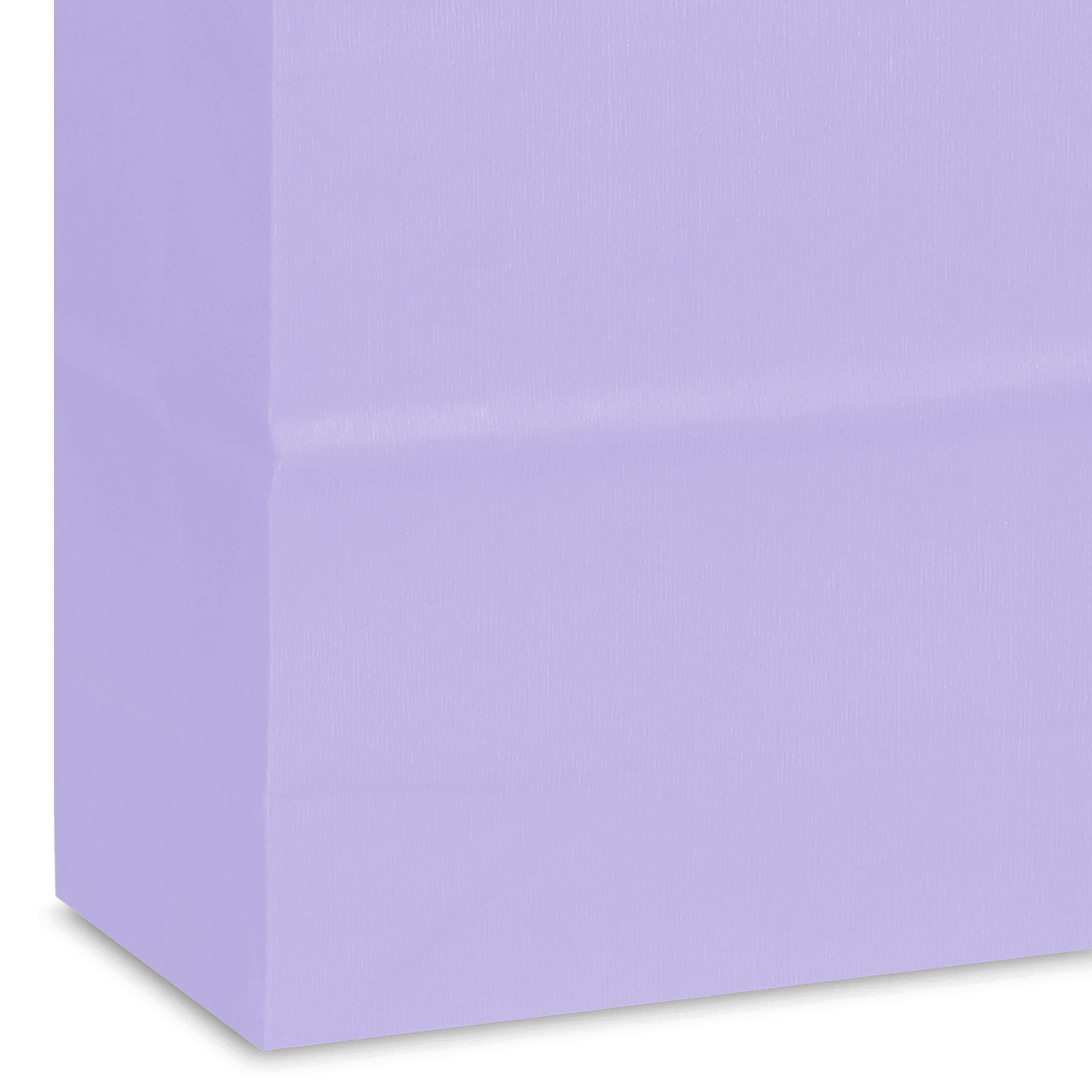 Hallmark Small Gift Bag (Solid Lavender)