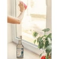 thumbnail image 2 of Blue Wolf Easy Glass Window Cleaner, 32 Fl. Oz., 2 of 7