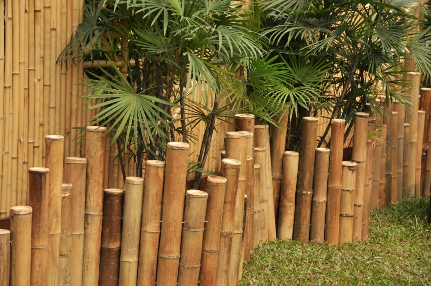 Backyard X-Scapes Natural Bamboo Border Edging for Garden Landscaping 23" L x 8" H (5-Pack)