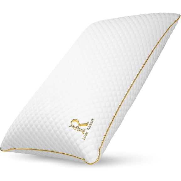 Queen Memory Foam Pillow, Adjustable Shredded Odor-Free Pillow for Neck & Shoulder Pain Relief, Support for Back, Stomach, Side Sleepers, CertiPUR-US