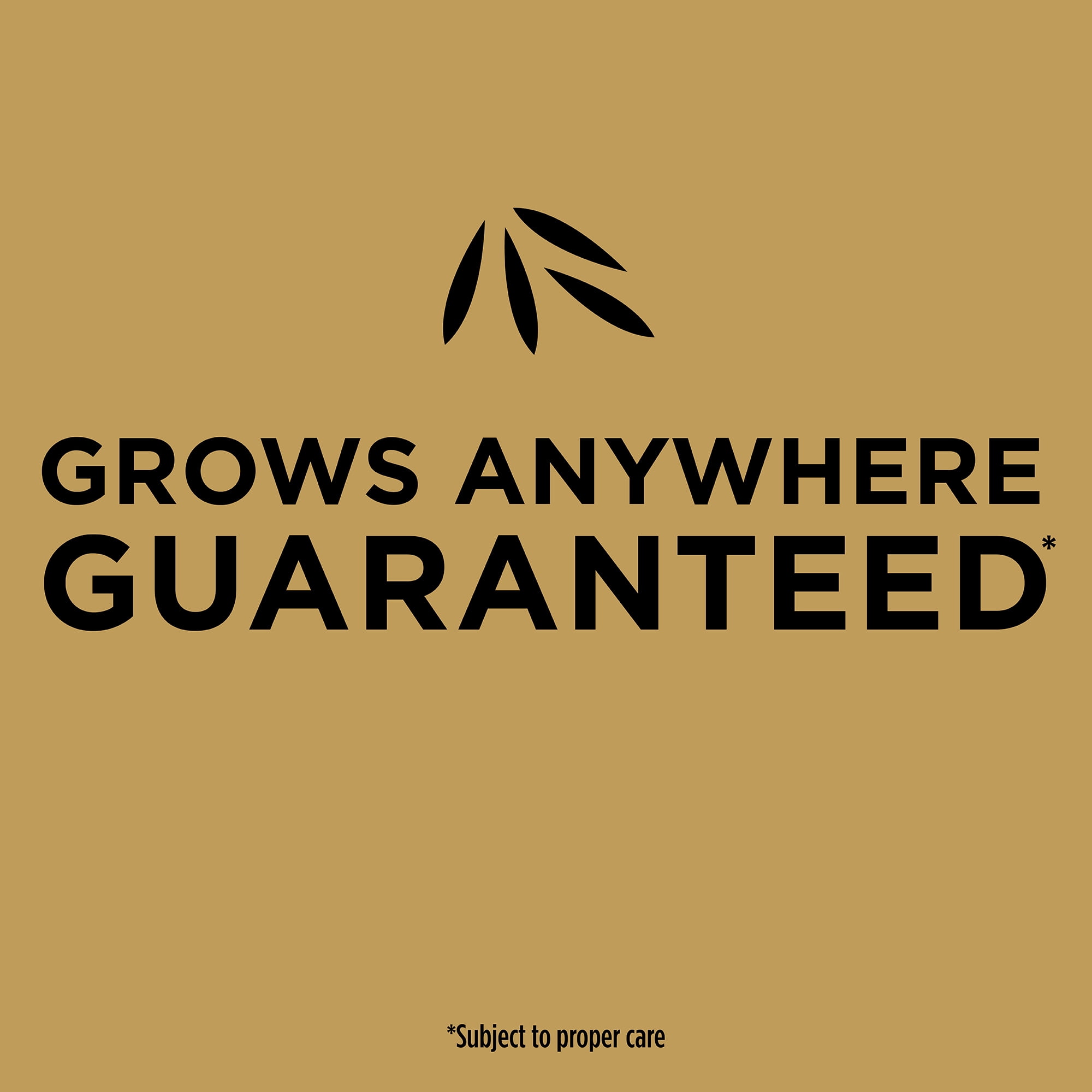 Scotts EZ Seed Patch & Repair Tall Fescue Lawns, 20 lbs.