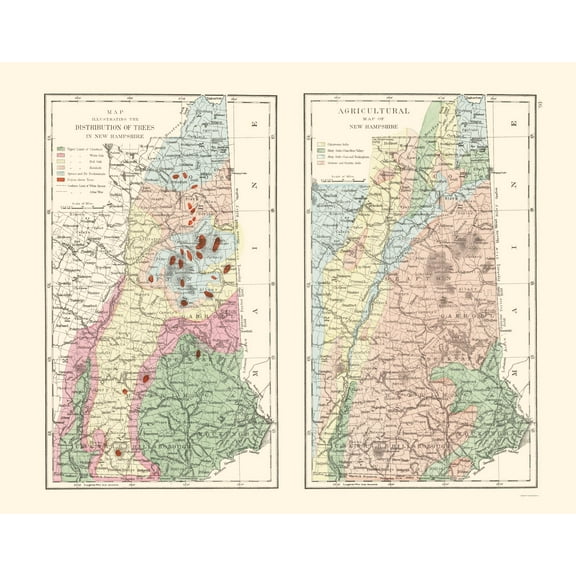 Historic State Map - New Hampshire Agricultural - Hitchcock 1877 - 23 x 29.29 - Vintage Wall Art
