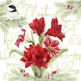 thumbnail image 2 of Reed, Tara 20x20 White Modern Wood Framed Museum Art Print Titled - Merry Amaryllis IV, 2 of 4