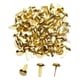 thumbnail image 1 of Sujetadores de Papel de LatóN de 1/2 Pulgada, Mini Sujetadores de Papel para Proyectos de Manualidades, Suministros Decorativos para Bricolaje, 8 X 14 Mm (Dorado), 1 of 1
