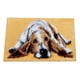 thumbnail image 1 of Alfombra anudada, alfombra anudada, conjunto anudado, decoración con herramientas para niños y Perro, 1 of 9