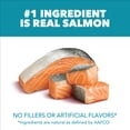 thumbnail image 2 of IAMS Proactive Health Indoor Adult Cat Food with Salmon for Weight & Hairball Care, 22 lb, 2 of 11