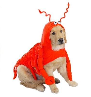 NWT Pet Dog Red Lobster Halloween Costume Size Large Nautical Ocean Sea Life 