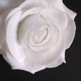 thumbnail image 6 of Rose Flower Hair Clips Elegant Hairpins Floral Brooches Pin Boho Hair Clip Rose Hair Accessories for Women Girls Lady Bridal, 10 cm, Pink & Orange 1Pack, 6 of 8
