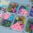 thumbnail image 3 of Dried Flowers, Dried Flowers, Dried Flowers for Crafts, Dried Flowers, Small Dried Flowers Set for Art, DIY, Resin, Scrapbooking, Crafts, Cards Making, 3 of 5